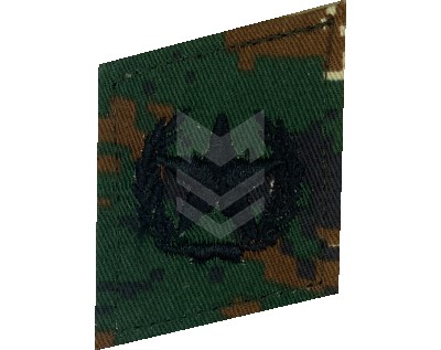 Collar Emblem Combined Arms Reaktiv