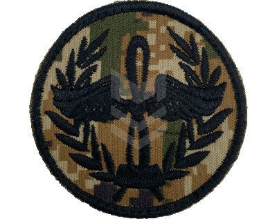 Emblem Air Forces Hayduk