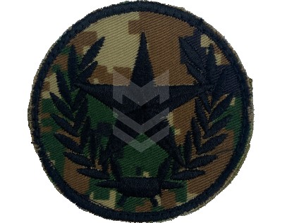 Emblem Combined Arms Neylon