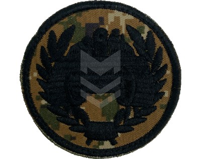 Emblem Armored Forces Hayduk