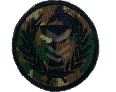 Med-Service Emblem Neylon