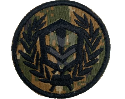 Emblem ՌՔԿՊ Hayduk