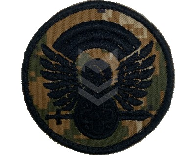 Emblem RA Military Forces Hayduk