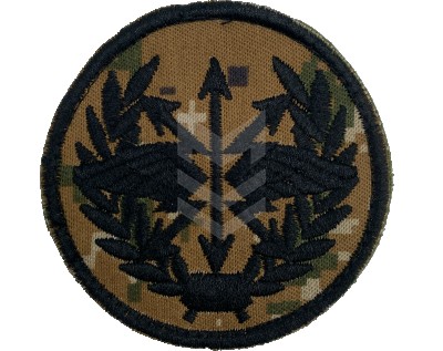 Emblem Communication Forces Hayduk