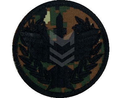 Emblem Air-Defence Forces Reaktiv