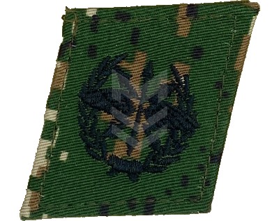 Collar Emblem Communication Forces Neylon