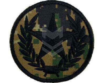 Emblem Combined Arms Pakhlava