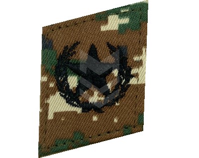 Collar Emblem Combined Arms Belarus