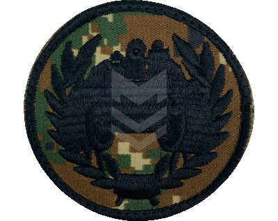 Emblem Armored Forces Belarus