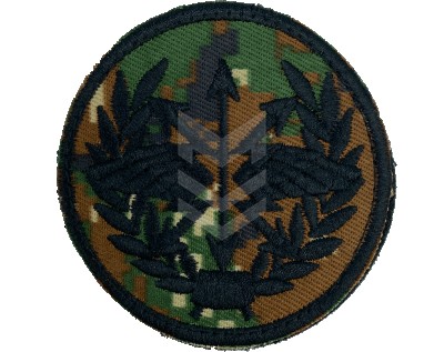 Emblem Communication Forces Belarus