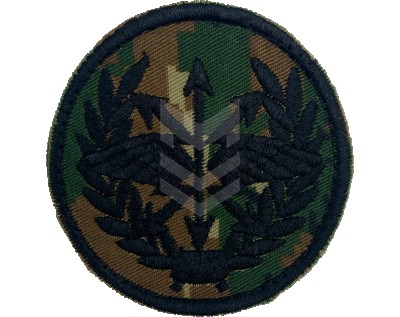 Emblem Communication Forces Neylon