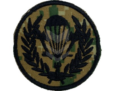 Emblem Airborne Forces Pakhlava