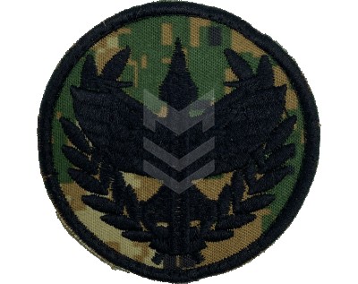 Emblem Air-Defence Forces Pakhlava