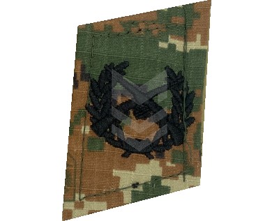 Collar Emblem Motorized Rifle Forces Spiral Shokolad