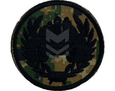 Emblem Armored Forces Pakhlava