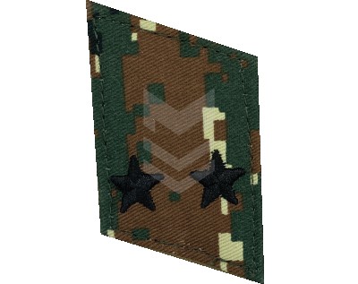 Collar Emblem Lieutenant Reaktiv