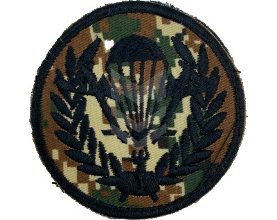 Emblem Airborne Forces Reaktiv