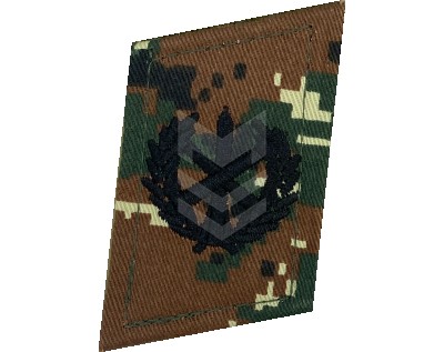 Collar Emblem Artillery Forces Reaktiv