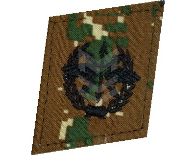 Collar Emblem Communication Forces Belarus