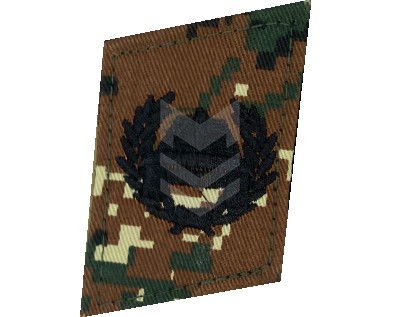 Collar Emblem Armored Forces Reaktiv