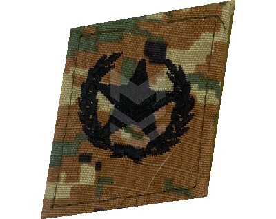 Collar Emblem Combined Arms Spiral Shokolad