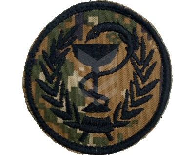 Emblem Med-Service Hayduk