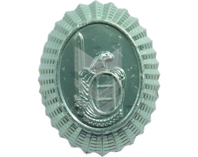 Emblem Oval NSS