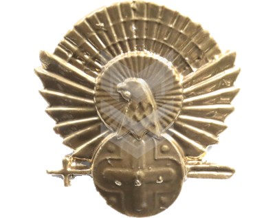 Badge G1 Golden