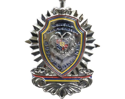 Badge Police Large