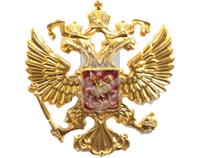 Badge Of The RF Emblem Golden Color 35*35