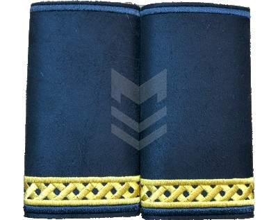 Logo Pair Customs Lieutenant - Captain