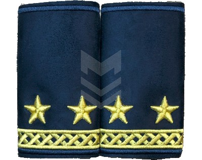 Logo Pair Customs Lieutenant - Colonel