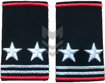 Shoulder Straps Police Lieutenant Colonel