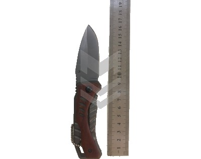 Knife Folding Micro Buck X-61