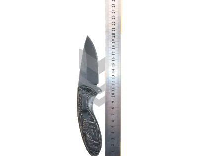 Knife Foldable Silver Bear